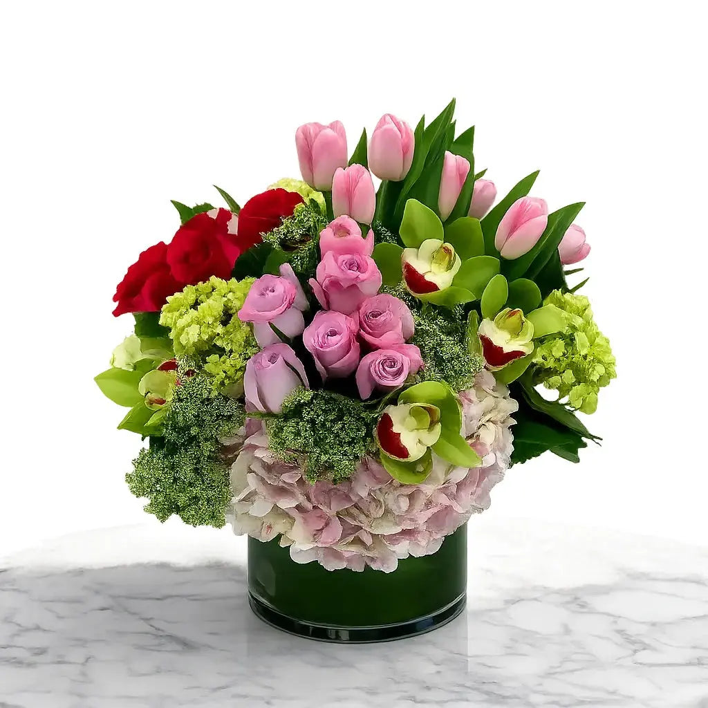 The Blooming Tulips