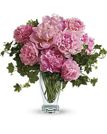 Peonies - MIAMI FLOWERS DESIGN