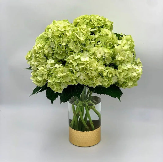 The Ultimate Guide to Cut Hydrangeas - MIAMI FLOWERS DESIGN