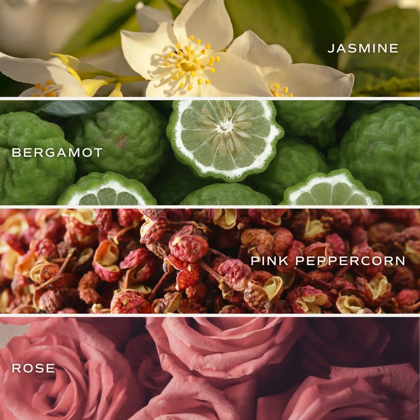 Sweet Water Decor - Flower Shop 11 oz Soy Candle - Home Decor & Gifts Sweet Water Decor