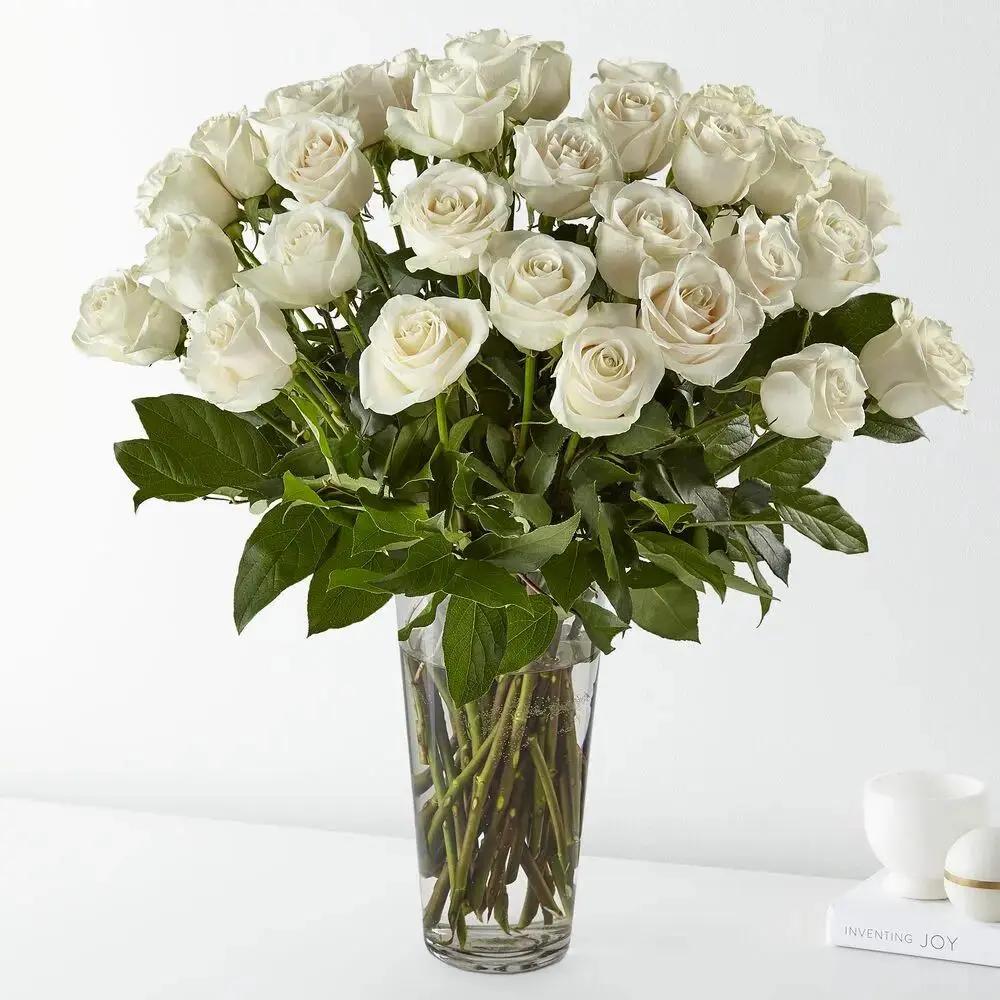 50 White Roses in Vase - Premium Long Stem Fresh Flowers