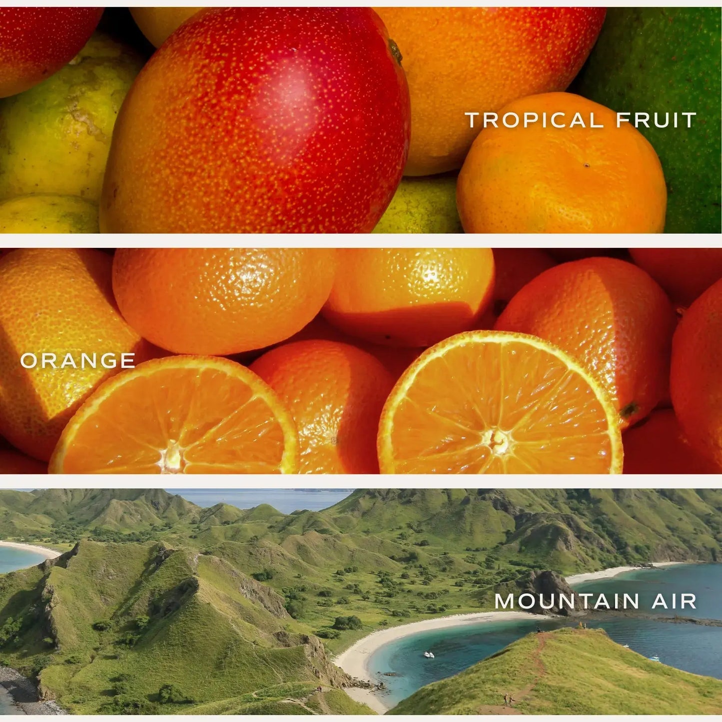 XOXO 15 oz Soy Candle, Matte Jar Sweet Water Decor