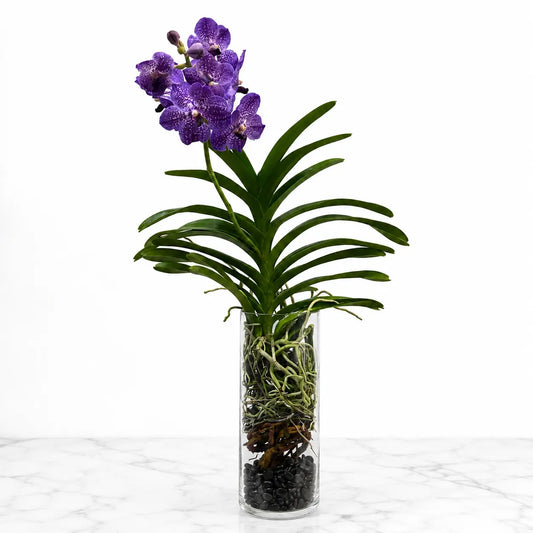 Purple Vanda Orchid in Glass Vase