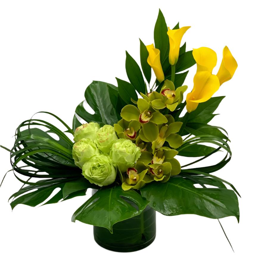 Sun over the Mountains - MIAMI FLOWERS DESIGN