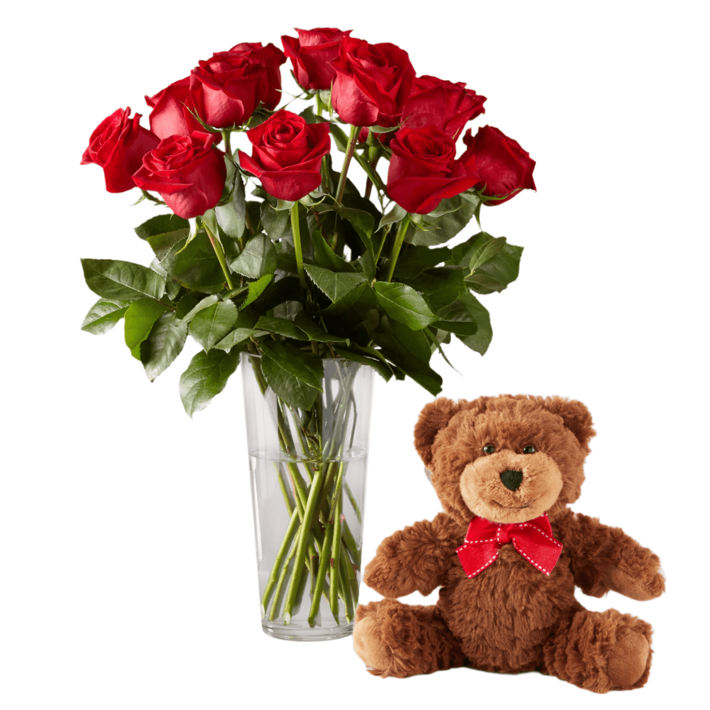 Twelve Red Roses with Teddy Bear - Same Day Delivery Miami, Doral, Coral Gables - MIAMI FLOWERS DESIGN