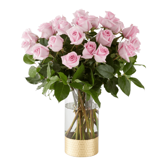 twenty - Five Light Pink Roses - MIAMI FLOWERS DESIGN